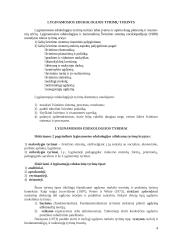 Lyginamosios edukologijos tyrimai 3 puslapis