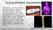 Kalcis ir jo reikšmė organizmui 2 puslapis