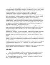 Kūrybinių industrijų sritys 3 puslapis