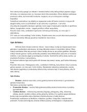 Kūrybinių industrijų sritys 4 puslapis