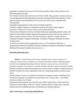 Kūrybinių industrijų sritys 6 puslapis