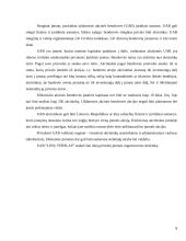 Linų pirminio apdirbimo verslas: UAB "Linų verslas" 8 puslapis