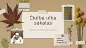 Liaudies dainos apie gimimą, piršlybas ir vestuves 14 puslapis