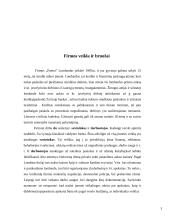 Lombardo verslo misija ir vizija 3 puslapis