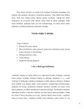 Lombardo verslo misija ir vizija 4 puslapis