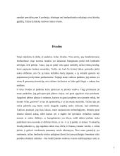 Lombardo verslo misija ir vizija 7 puslapis