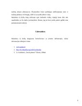 Lombardo verslo misija ir vizija 8 puslapis