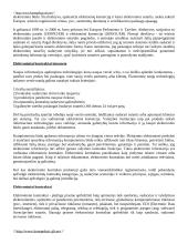 Elektroniniai kontraktai 2 puslapis