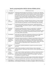 Vadybos namų darbas: įmonės analizė 2 puslapis