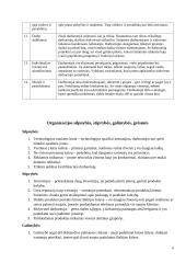 Vadybos namų darbas: įmonės analizė 3 puslapis