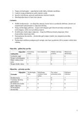 Vadybos namų darbas: įmonės analizė 4 puslapis