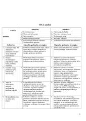 Vadybos namų darbas: įmonės analizė 5 puslapis