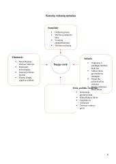 Vadybos namų darbas: įmonės analizė 7 puslapis