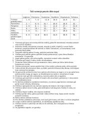 Vadybos namų darbas: įmonės analizė 8 puslapis