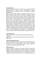 Magnetizmas 3 puslapis