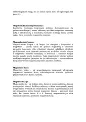 Magnetizmas 5 puslapis