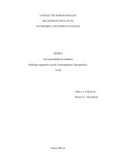 Magnetizmas 6 puslapis