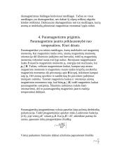 Magnetizmas 8 puslapis