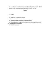 Magnetizmas 9 puslapis