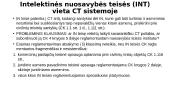 Intelektinės nuosavybė teisė: bendros nuostatos  13 puslapis