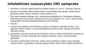 Intelektinės nuosavybė teisė: bendros nuostatos  2 puslapis