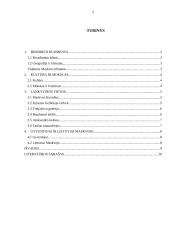 Apie Maskvą  2 puslapis