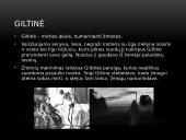 Lietuvių mitologija ir tautosaka 11 puslapis