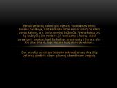 Lietuvių mitologija ir tautosaka 13 puslapis