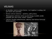 Lietuvių mitologija ir tautosaka 5 puslapis