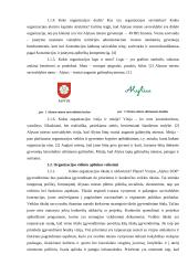 Alytaus miesto savivaldybės analizė 2 puslapis