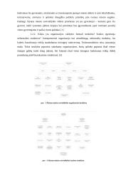 Alytaus miesto savivaldybės analizė 3 puslapis