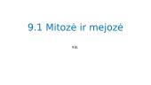 Mitozės ir mejozės samprata 1 puslapis