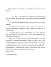 UAB "Senukai" charakteristika, SSGG (SWOT) analizė 4 puslapis