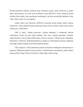 UAB "Senukai" charakteristika, SSGG (SWOT) analizė 6 puslapis