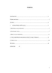 Krepšinio komandos motyvacijos aukštų rezultatų siekimo didinimo sistemos formavimas 2 puslapis