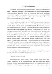 Krepšinio komandos motyvacijos aukštų rezultatų siekimo didinimo sistemos formavimas 11 puslapis