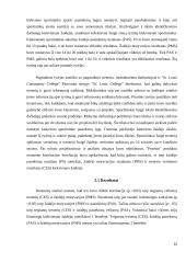 Krepšinio komandos motyvacijos aukštų rezultatų siekimo didinimo sistemos formavimas 16 puslapis