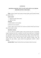 Krepšinio komandos motyvacijos aukštų rezultatų siekimo didinimo sistemos formavimas 3 puslapis