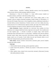 Krepšinio komandos motyvacijos aukštų rezultatų siekimo didinimo sistemos formavimas 4 puslapis