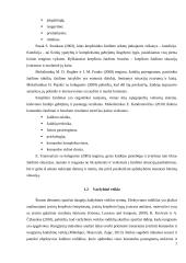 Krepšinio komandos motyvacijos aukštų rezultatų siekimo didinimo sistemos formavimas 7 puslapis