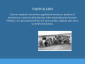 Žemės ūkis tarpukario Lietuvoje 3 puslapis