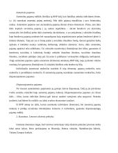 Makroekonomika - grynasis nacionalinis produktas (GNP) 2 puslapis