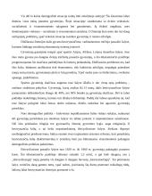 Makroekonomika - grynasis nacionalinis produktas (GNP) 8 puslapis