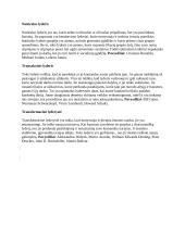 Lyderystės tipai 2 puslapis