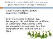 Lietuviškų vaistažolių arbata 15 puslapis