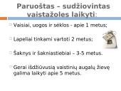 Lietuviškų vaistažolių arbata 16 puslapis