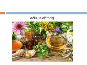 Lietuviškų vaistažolių arbata 17 puslapis