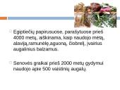 Lietuviškų vaistažolių arbata 3 puslapis