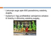 Lietuviškų vaistažolių arbata 4 puslapis