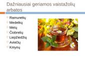 Lietuviškų vaistažolių arbata 6 puslapis